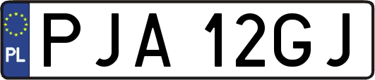 PJA12GJ