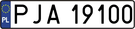 PJA19100