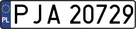 PJA20729
