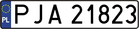 PJA21823