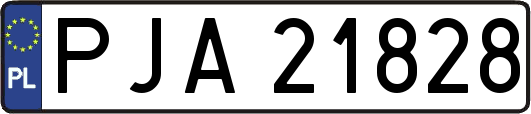 PJA21828