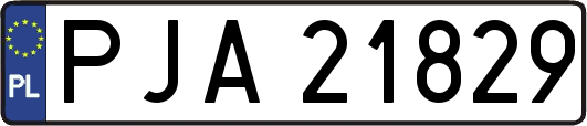 PJA21829