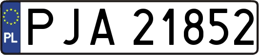 PJA21852