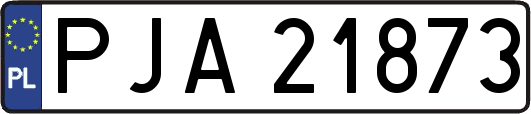 PJA21873