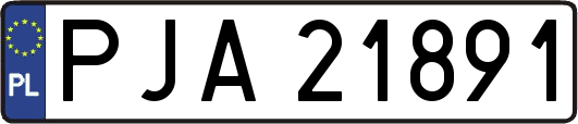 PJA21891