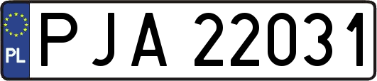PJA22031