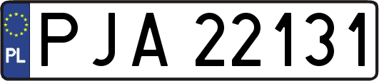 PJA22131