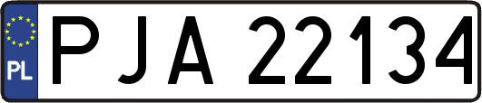 PJA22134