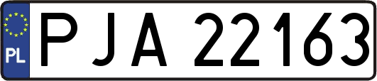 PJA22163