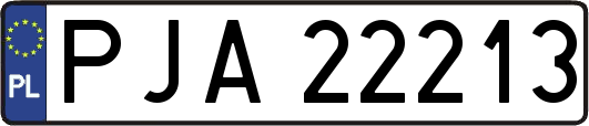 PJA22213