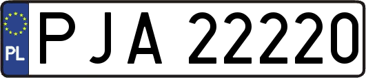 PJA22220