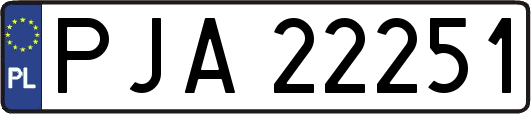 PJA22251