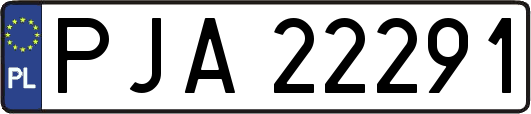 PJA22291