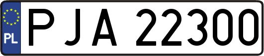 PJA22300