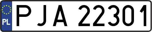PJA22301