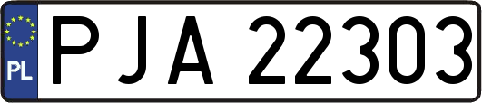 PJA22303