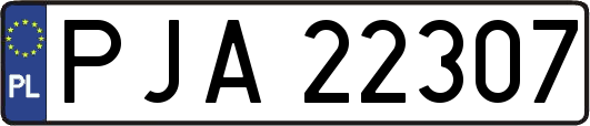 PJA22307