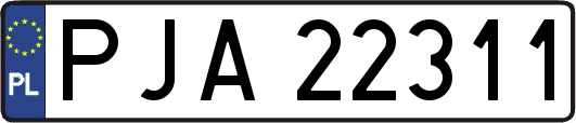 PJA22311