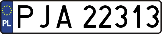 PJA22313