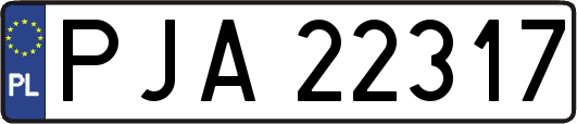 PJA22317