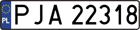 PJA22318
