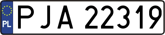 PJA22319