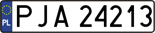 PJA24213