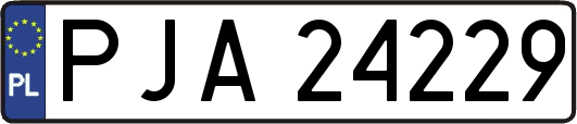 PJA24229