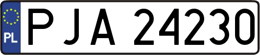 PJA24230