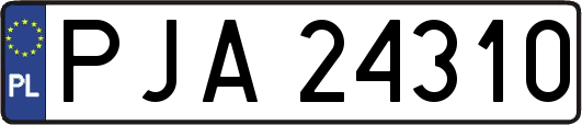 PJA24310