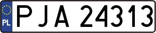 PJA24313