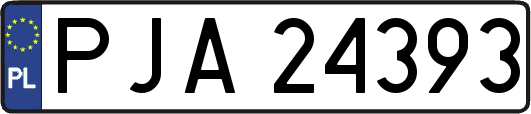 PJA24393