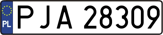 PJA28309