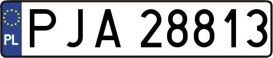 PJA28813