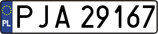 PJA29167