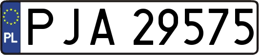PJA29575