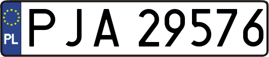 PJA29576