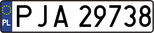 PJA29738