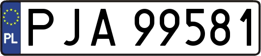 PJA99581