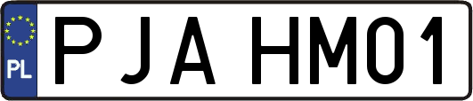 PJAHM01