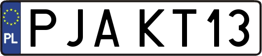 PJAKT13
