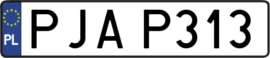 PJAP313