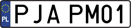 PJAPM01