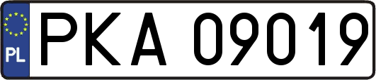 PKA09019