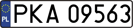 PKA09563