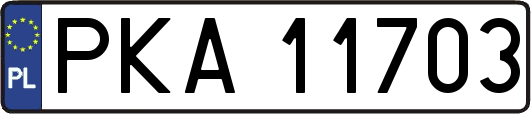 PKA11703