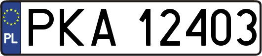 PKA12403