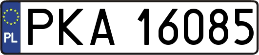 PKA16085