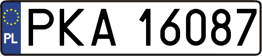 PKA16087