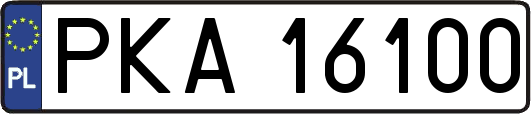 PKA16100